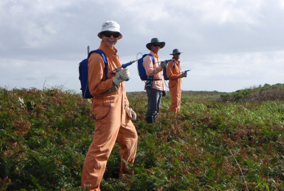 Image by Ruth Armstrong